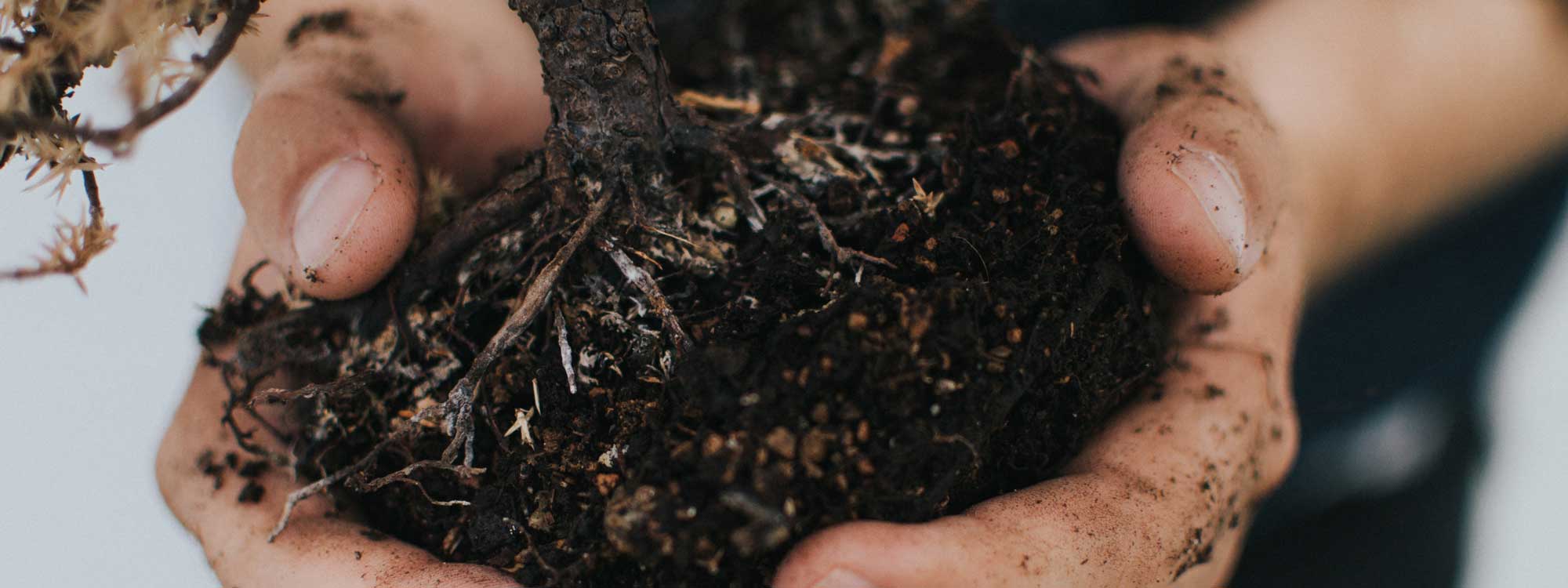 Leftover food scraps, fruit cores and vegetables parts can be put in the compost pile.